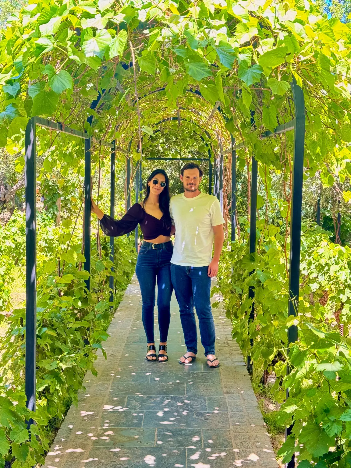 0ea04456-d50d-46bd-8224-1c70fa34730b